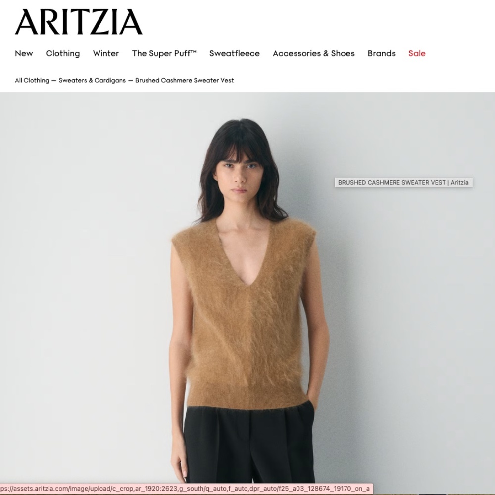 Brand New NWT Aritzia Brushed Cashmere V Neck- Black (sold out)